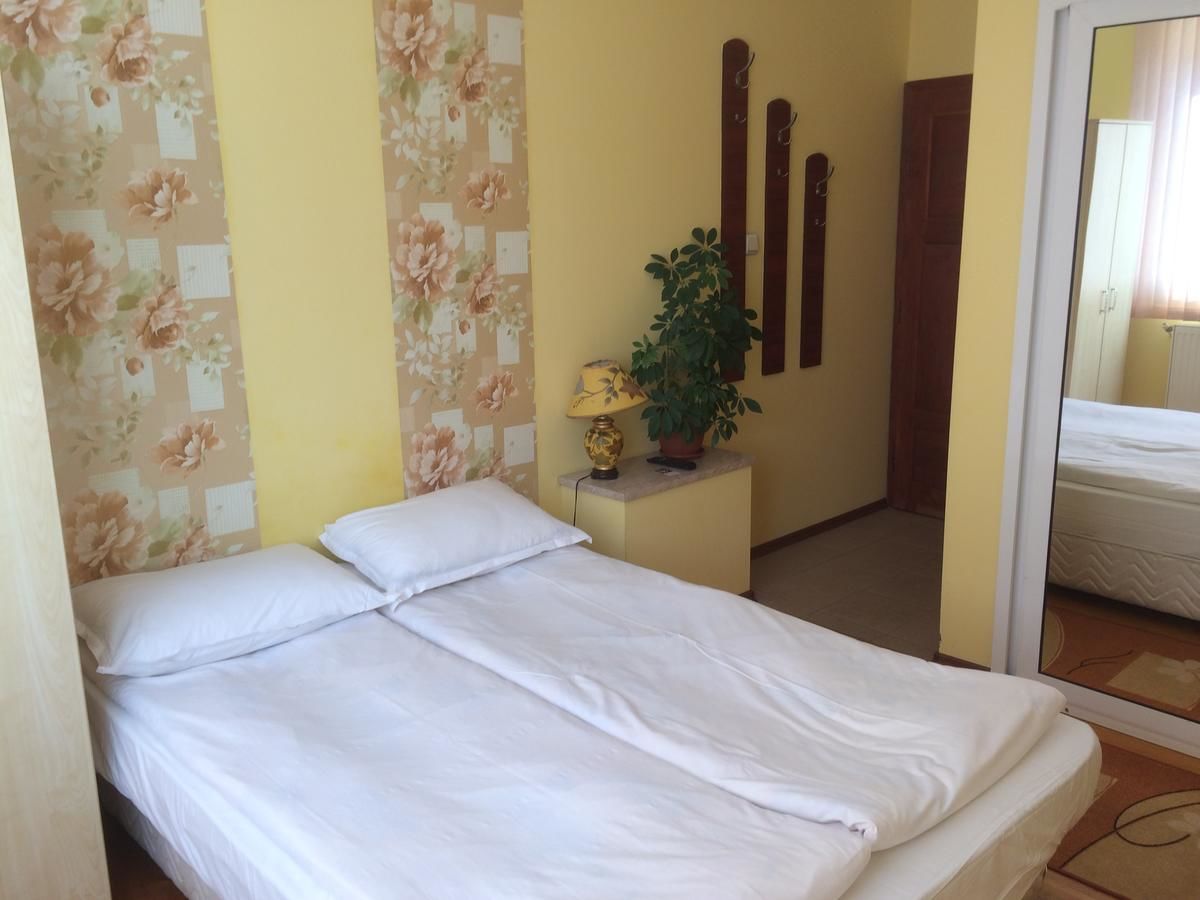 Гостевой дом Mira Guest House Добриниште-32