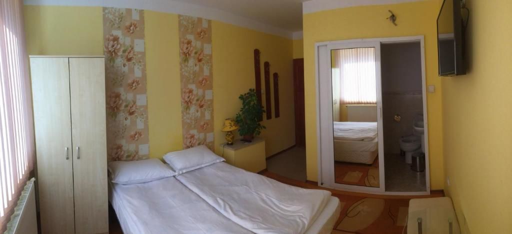 Гостевой дом Mira Guest House Добриниште-50