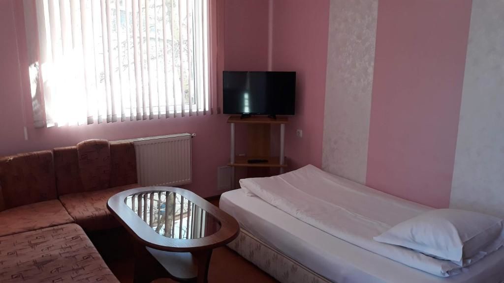 Гостевой дом Mira Guest House Добриниште-57